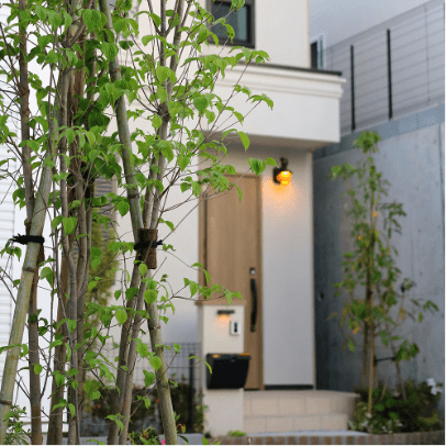 メディタレニアンスタイル