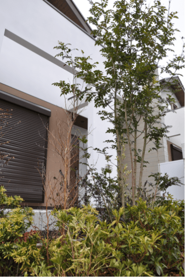 ナチュラルモダンスタイル